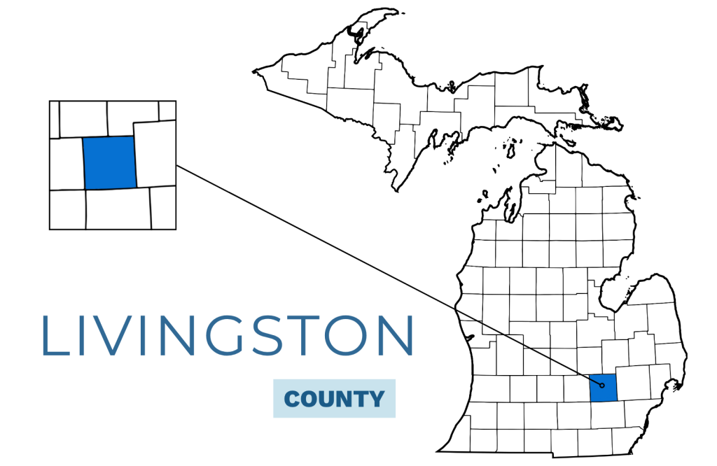 Livingston county michigan mobile wound care